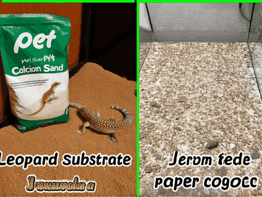 Leopard gecko substrate comparison image: Split-frame visual. Left side shows a pet store bag of calcium sand and a juvenile leopard gecko nearby. Right side shows a tank floor with a mix of textured slate tiles and paper towel. Caption style text overlaid with 