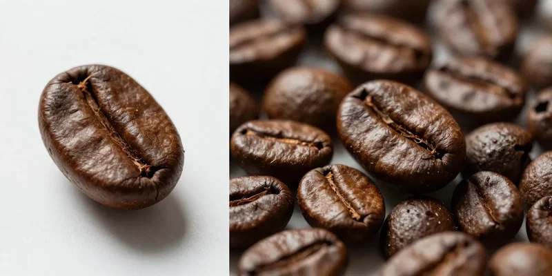 Single Origin vs Blend for Espresso: The Pros, Cons, and What to Buy First