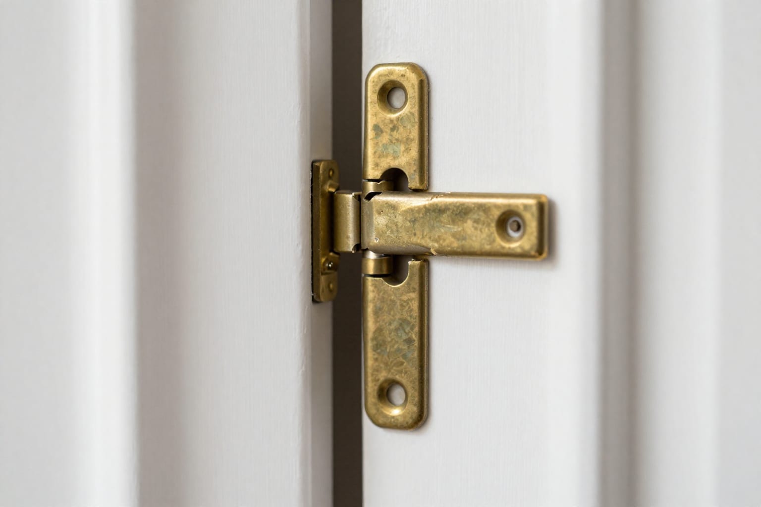 5 Ways to Fix a Squeaky Door Hinge Without WD-40 (I Tested Them All)