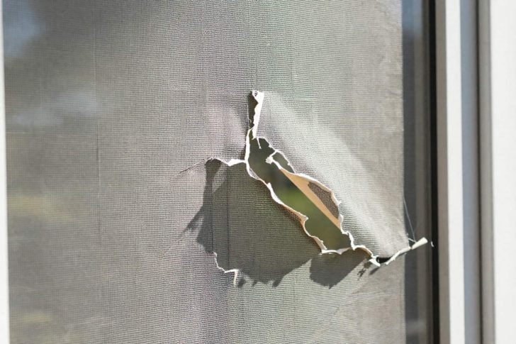 How to Repair a Hole in a Screen Porch: 4 Quick Fixes That Actually Last