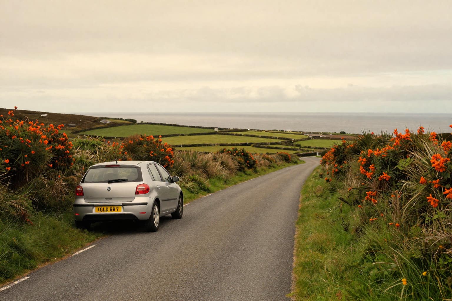 How to Road Trip Ireland on a Budget: 10 Money-Saving Hacks That Actually Work