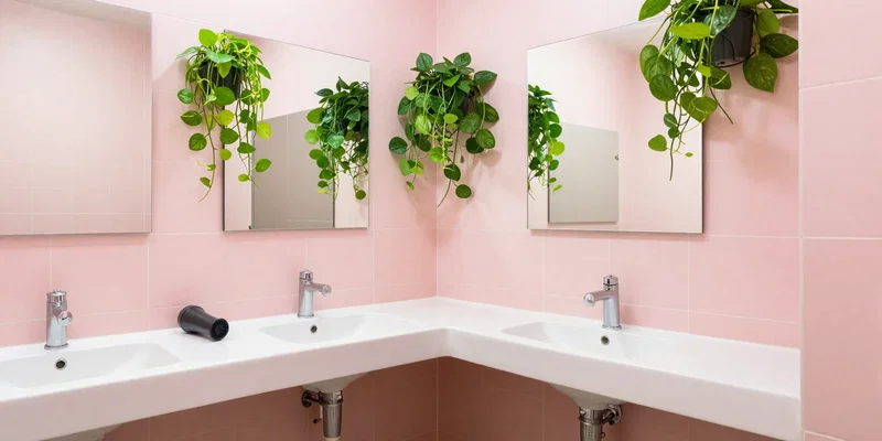 An aesthetically pleasing, spotless hostel bathroom with pastel pink tiles, large brightly lit mirrors, hair dryers, and lush hanging pothos plants. Clean, bright, architectural photography, 8k resolution --ar 16:9