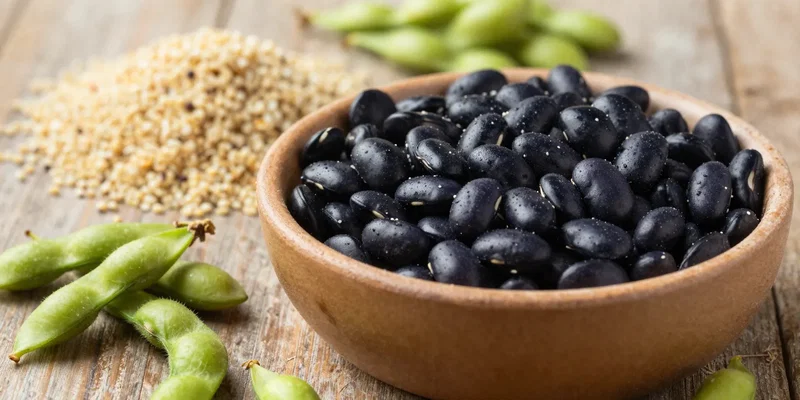 Top 10 Fears About Going Vegan with Diabetes (And Why They're Wrong)