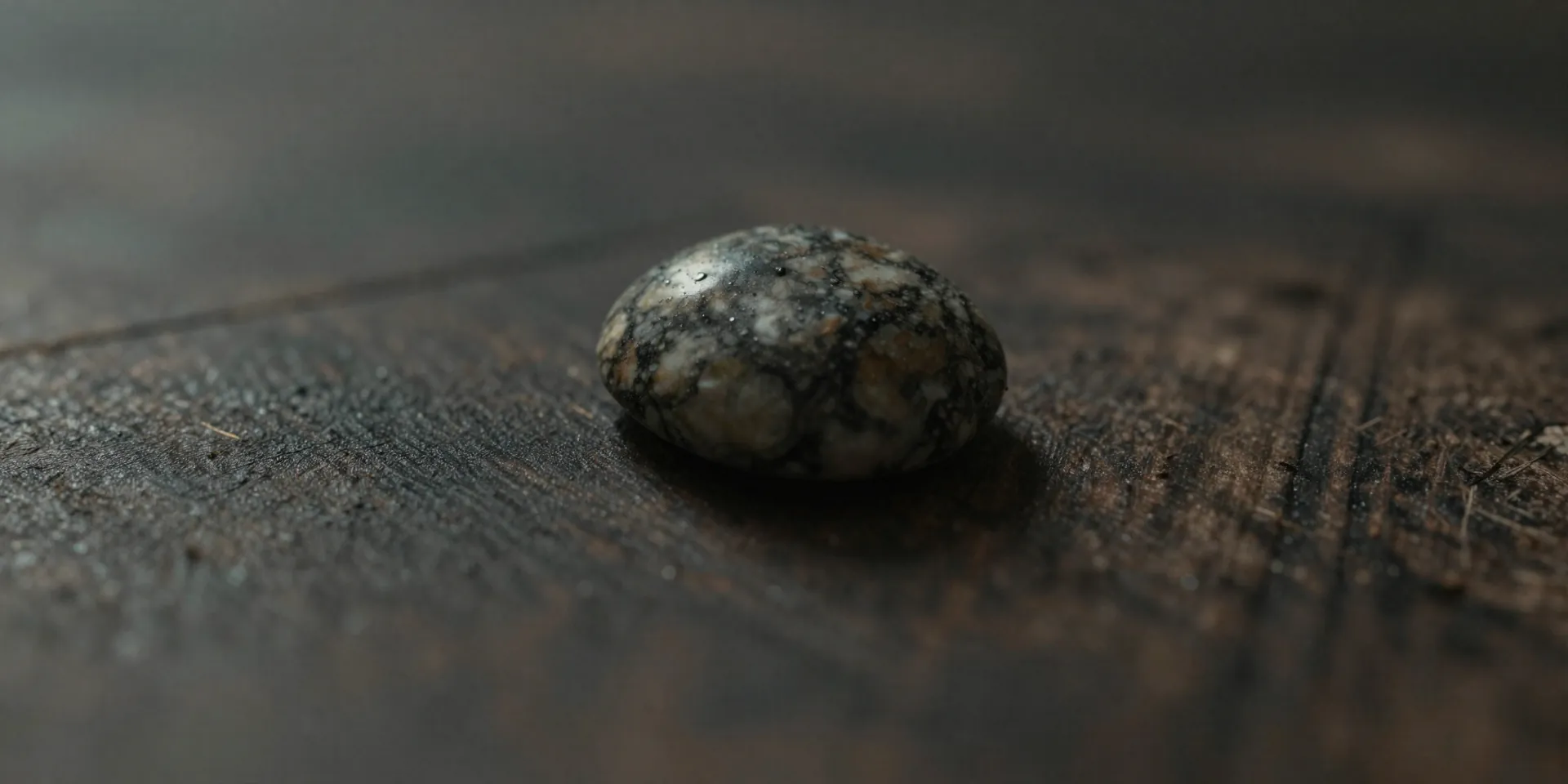Cinematic macro shot of a 